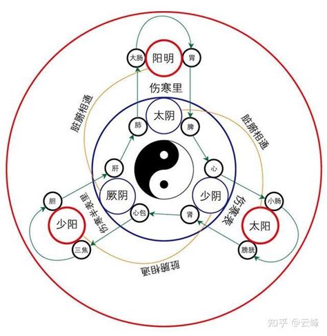 六經有哪些|六经